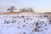 loonse en drunense duinen 2-20215461